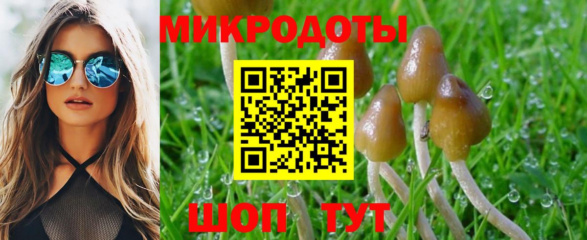 Галлюциногенные грибы Magic Shrooms  Вход с VPN  Новочеркасск  Псилоцибиновые грибы мицелий 